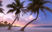 Hoteles Riu Todo Incluido Cancun 4 Dias 3 Noches