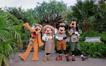 Fantasía en Walt Disney World Orlando 7 Dias